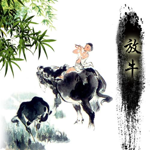 商务礼仪实训系统